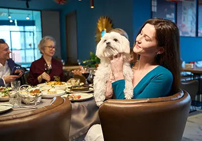 Taking Your Dog to the Pub: Simple Tips for a...