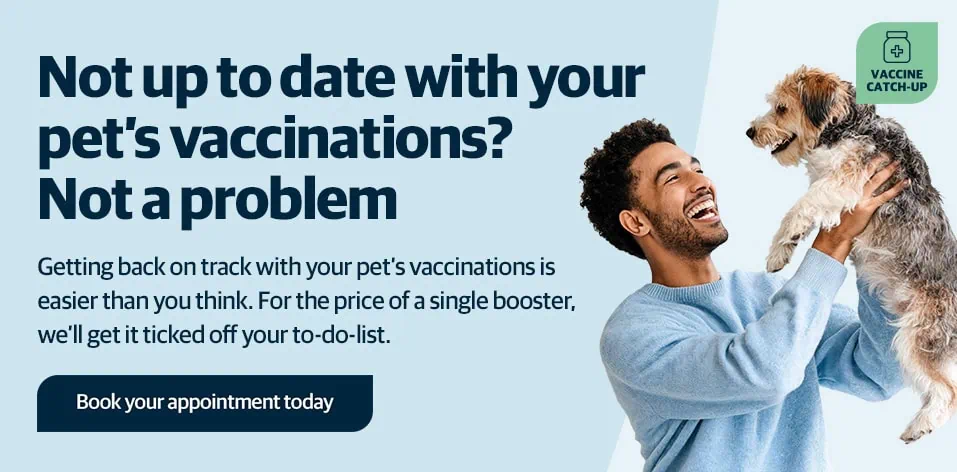 Register with Palmerston Vets | Vets in Essex | Pet Health Care