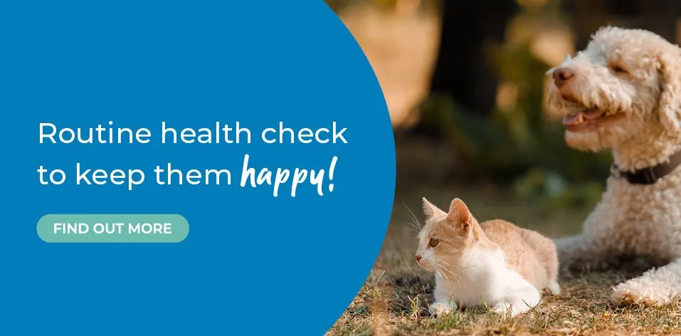 Register with Palmerston Vets | Vets in Essex | Pet Health Care