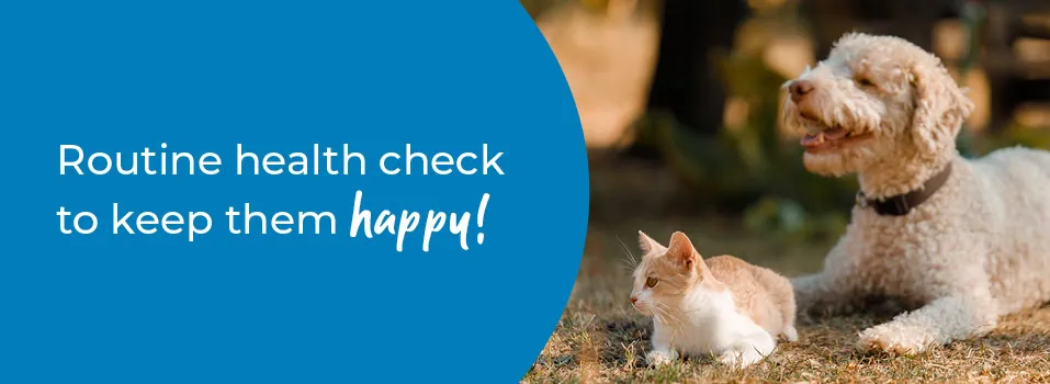 Annual Health Check