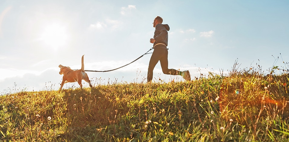 Register with Palmerston Vets | Vets in Essex | Pet Health Care