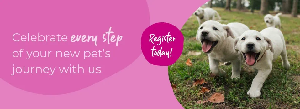 Start of Life for Your Puppy or Kitten