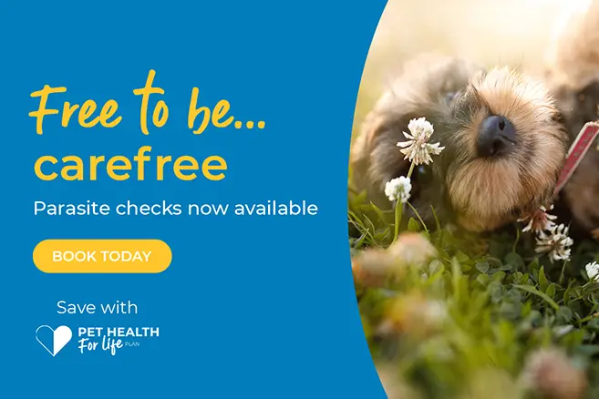 Parasite checks now available